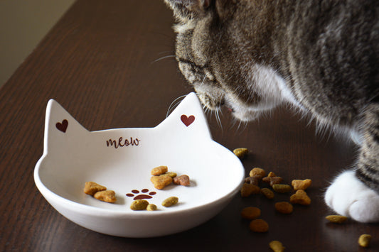Personalized Cute Ceramic Cat Feeding Dish with Ears - Non Toxic Food Safe Whisker Friendly