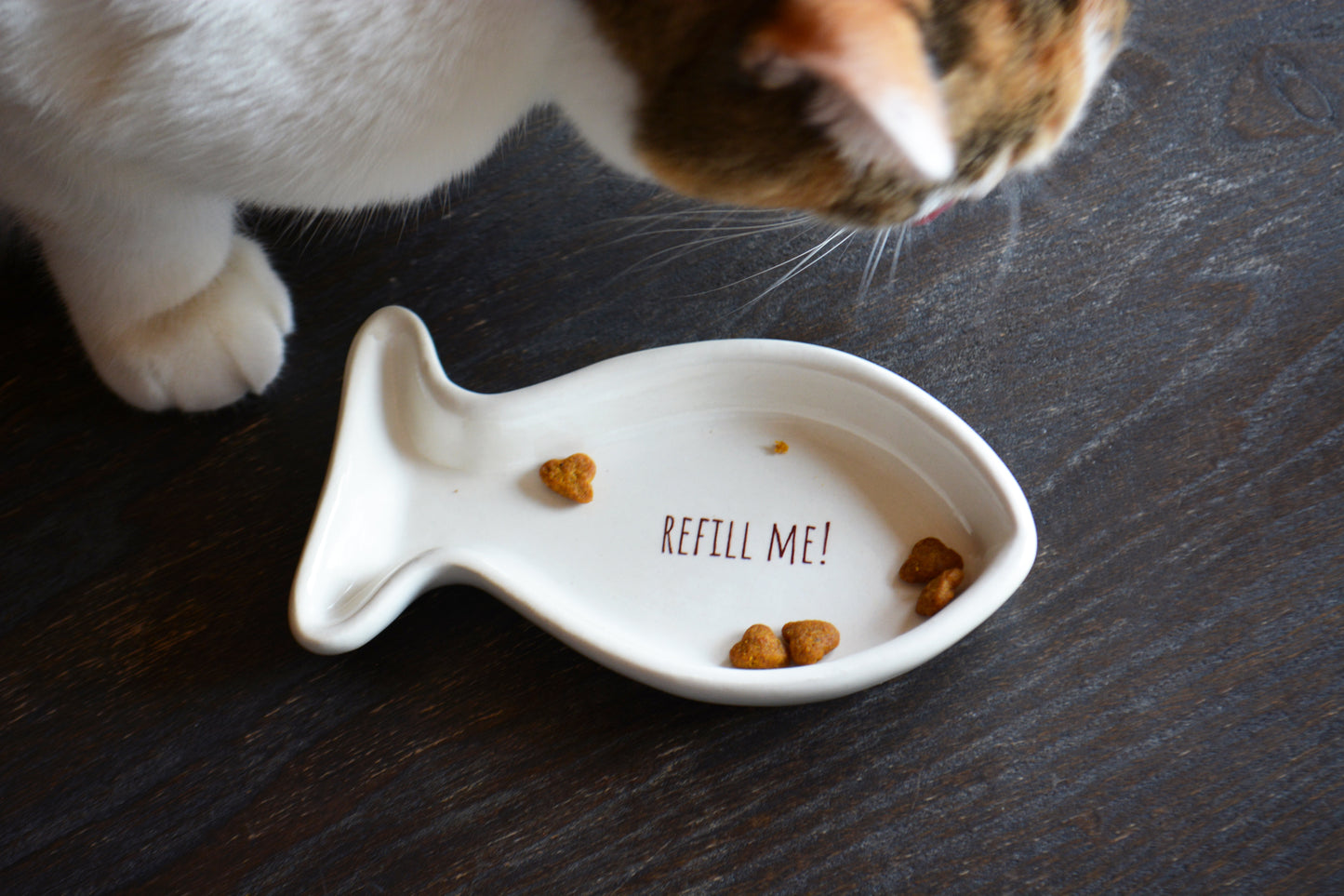 Personalized Ceramic Fish Shaped Cat Dish for Food or Treats - Funny Cat Lover Gift