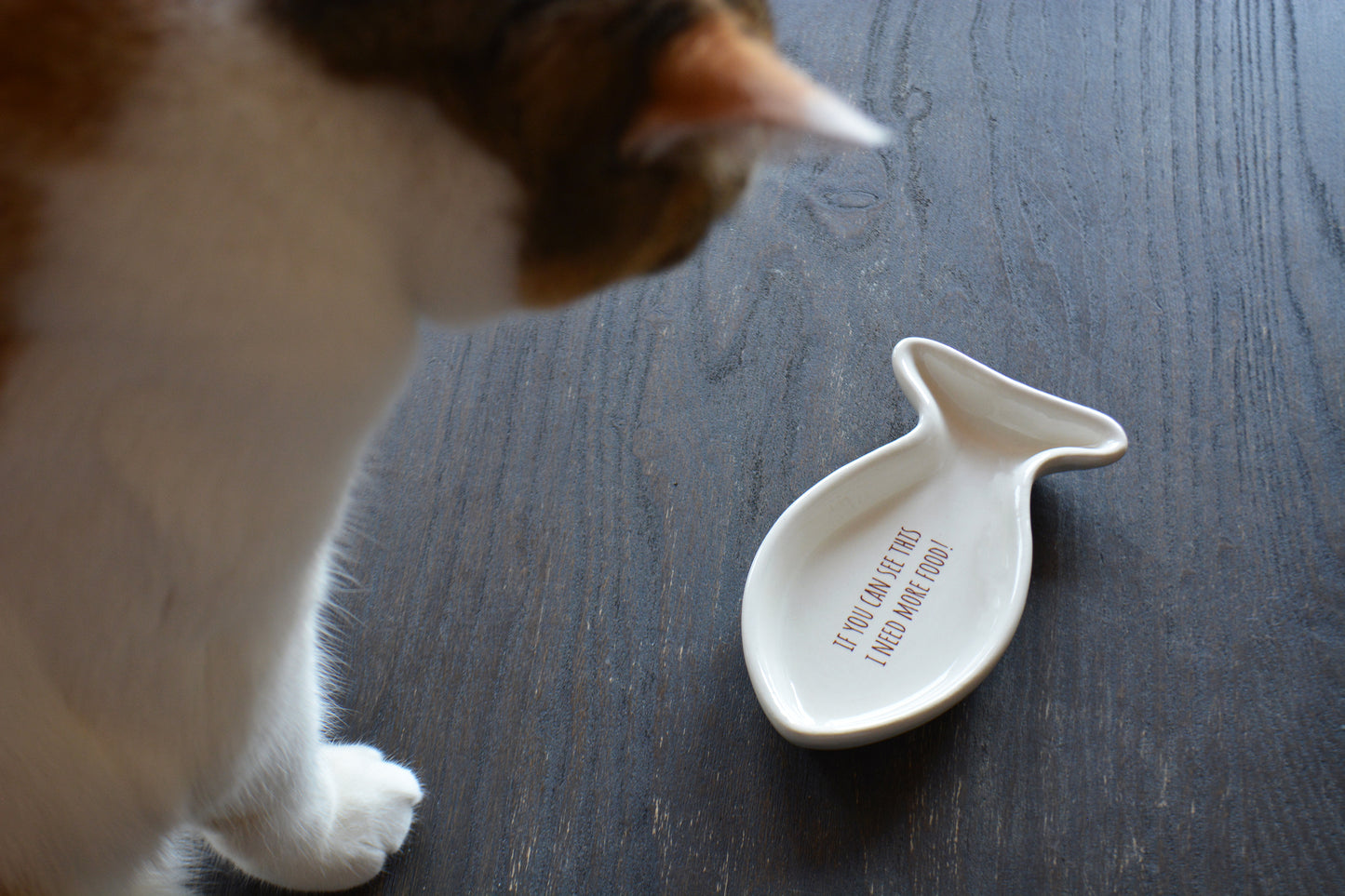 Personalized Ceramic Fish Shaped Cat Dish for Food or Treats - Funny Cat Lover Gift
