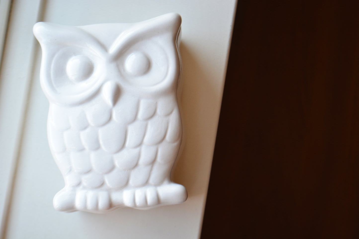 I Love Whoooo You Are Personalized Ceramic Owl Trinket Box - Unique Wedding Anniversary or Birthday Gift