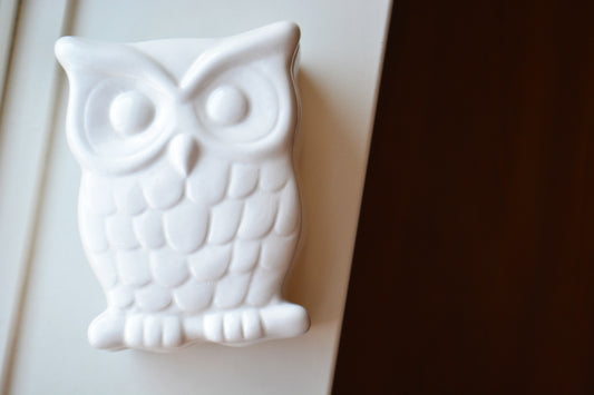 I Love Whoooo You Are Personalized Ceramic Owl Trinket Box - Unique Wedding Anniversary or Birthday Gift